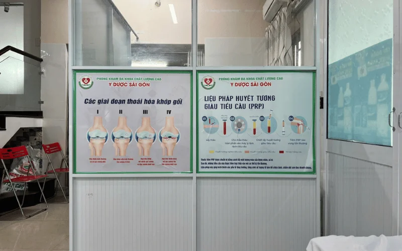 Liệu pháp huyết tương giàu tiểu cầu (PRP)
